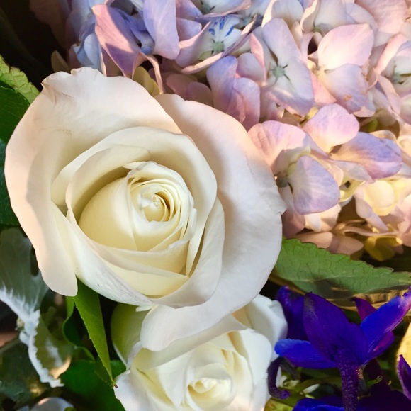 Meet your Posher, Deanna - Picture 1 of 1